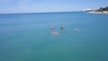 Top view of tourists on sea with SUP-boards. Clip. Beautiful clear sea with people floating on boards engaged in sup