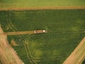 Top view of the tractor in the field of sugar beet. Aerial view Royalty Free Stock Photo