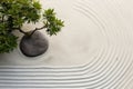 Top view of A tranquil Japanese Zen garden featuring carefully raked gravel lines and bonsai tree, representing inner peace and