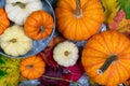 Top view of tray of assorted pumpkins and fall leaves