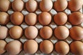 Eggs in a egg tray Royalty Free Stock Photo
