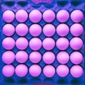 Top view of a tray of chicken eggs in unnatural neon lighting. Royalty Free Stock Photo
