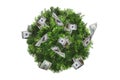 Top View of Tree Royalty Free Stock Photo