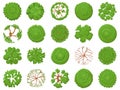 Top view tree. Planting green trees, park map vegetation and tropical forest maps viewing from above vector illustration