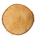 Top view of a tree stump Royalty Free Stock Photo