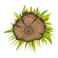 Top view tree stump icon, cartoon style Royalty Free Stock Photo