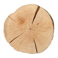 Top view of a tree stump Royalty Free Stock Photo