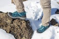 top view of trekking shoes on the lava stone and snow background, female legs Royalty Free Stock Photo