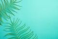 Top view of Tropical summer on bright pastel green background, fern leaves set in the frame around blank space for a text, flat Royalty Free Stock Photo