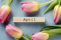 top view tulips frame with april tag. High quality beautiful photo concept