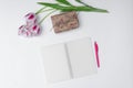 top view of tulips, gift and empty notepad on white background Royalty Free Stock Photo