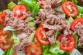 Top view tuna salad with red tomato, fresh lettuce. Hight vitamins and low fat for loose weight. Heathy food concept