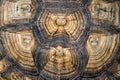 Top view of turtle shell of sulcata tortoise or African spurred tortoise. background and texture Royalty Free Stock Photo