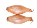 Top view of two bulbs of shallot onion isolated Royalty Free Stock Photo