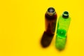 Top view of two different bottles. Reusable and disposable. Steel thermo water bottle of red color and simple plastic bottle. Royalty Free Stock Photo