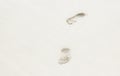 Top view of two footprints of bare feet that have stepped in sand on a white background