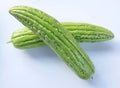 Top view two fresh green vegetables bitter gourd or Bitter melon isolate on a white background Royalty Free Stock Photo