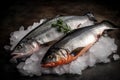 Top View Of Two Fresh Salmon And Sea Bass On Ice - Generative AI Royalty Free Stock Photo