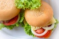 Top view two hamburger on a white plate Royalty Free Stock Photo