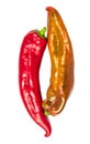 Top view of two juicy and bright peppers that lie on white Royalty Free Stock Photo