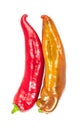 Top view of two juicy peppers of different colors, which lie on a white background Royalty Free Stock Photo