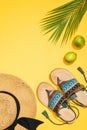 top view of two limes, palm leaf, blue stylish sandals and straw hat