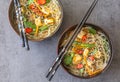 Top view of two oriental plates with a vegan dish of glass noodles, tofu and fresh vegetables