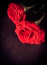 Top of view of two red roses on old wood, old style, valentine day and love concept Royalty Free Stock Photo