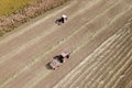 Top view of two red Tractor baling hay Royalty Free Stock Photo
