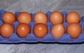 Two rows of brown raw uncooked fresh chicken eggs in purple carton box on grey marble Royalty Free Stock Photo