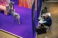 Top view of two sketching people with white sheets of paper near purple carpet on stage of creative abstract decorations