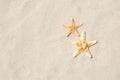 Top view of two starfish on sandy beach. Summer vacation concept on a sunny day Royalty Free Stock Photo