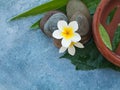 Top view of two tropical flowr and stones for relax