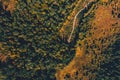 Top view of the Ukrainian forests in the Rivne region, flying over the tunnel of love