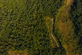 Top view of the Ukrainian forests in the Rivne region, flying over the tunnel of love