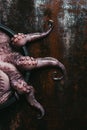 top view of uncooked octopus in saucepan on rusty