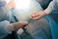 Top view of unrecognizable female nurse assists male surgeons, giving surgical clamp with tampon during surgical Royalty Free Stock Photo