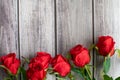 A top view of Valentine`s Day concept. Red rose flower and beautiful green leaves on wooden table in under corner. Close-up, Royalty Free Stock Photo