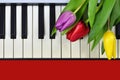 Valentines Day flowers on piano keyboard