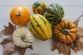 Top view of variety of colorful pumpkins