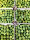 Top view of a variety of green juicy unripe fig fruits in wooden crates in the summer at the market.