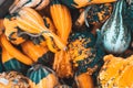 Top view of a variety of pumpkins stack Royalty Free Stock Photo