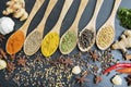 Variety spices with row of wooden spoon Royalty Free Stock Photo