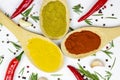 Top view of variety of spices and seasonings indian curry, different pepper, paprika powder, salt, dry ginger and curcuma for co Royalty Free Stock Photo