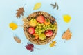 Top view of various colorful autumn fruits and leaves in a wicker basket over light blue background Royalty Free Stock Photo