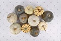 Top view of different green, white and yellow pumpkins and squashes