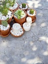 Top view of various green plants and succulents decorated with white stones and candles. Royalty Free Stock Photo