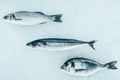 top view of various uncooked healthy sea fish