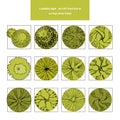 Top view vector set of different green trees.Hand drawn illustration for landscape design, plan, maps.Collection of Royalty Free Stock Photo