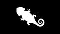 Top view of a veiled chameleon graphic animation. Alpha channel